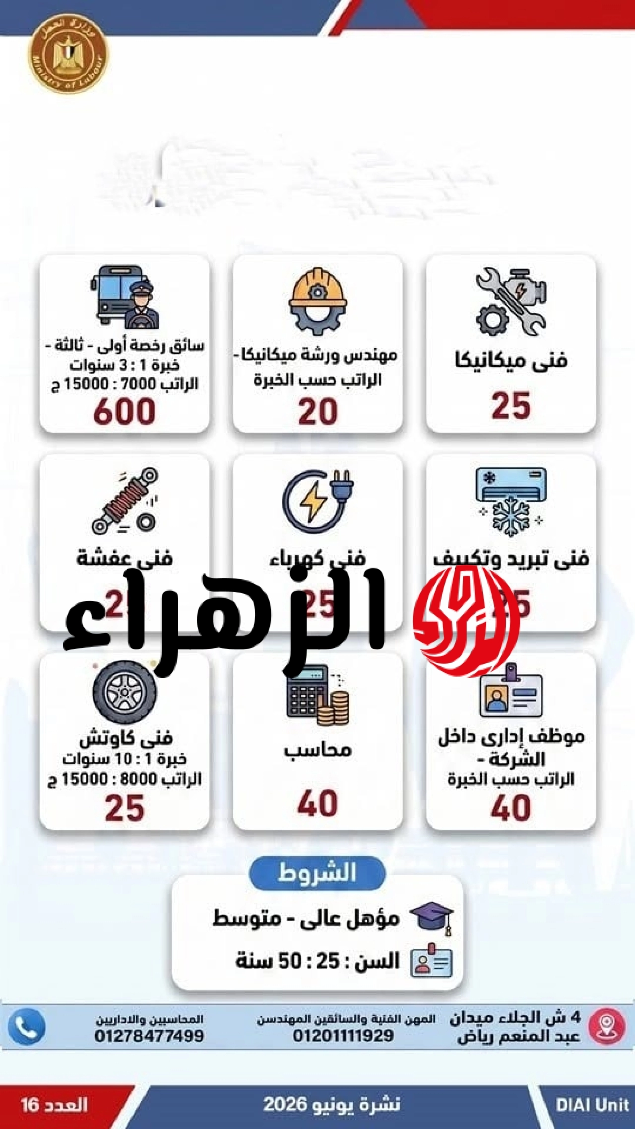 برواتب تصل لـ 15 ألف جنيه.. وزارة العمل تعلن توفير 825 وظيفة خالية (الشروط وطريقة التقديم) 6 99109 720228241 1445954364232403