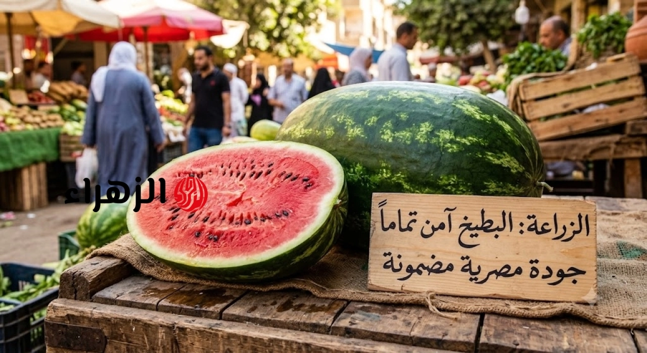 حقيقة تسمم البطيخ في الأسواق.. الزراعة ترد وتحذر من عادات الشراء الخاطئة