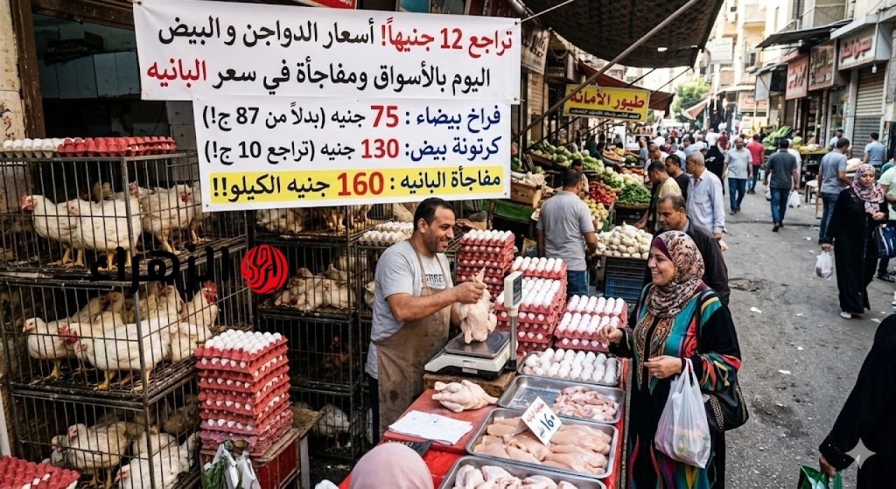تراجع 12 جنيهاً.. أسعار الدواجن والبيض اليوم بالأسواق ومفاجأة في سعر البانيه