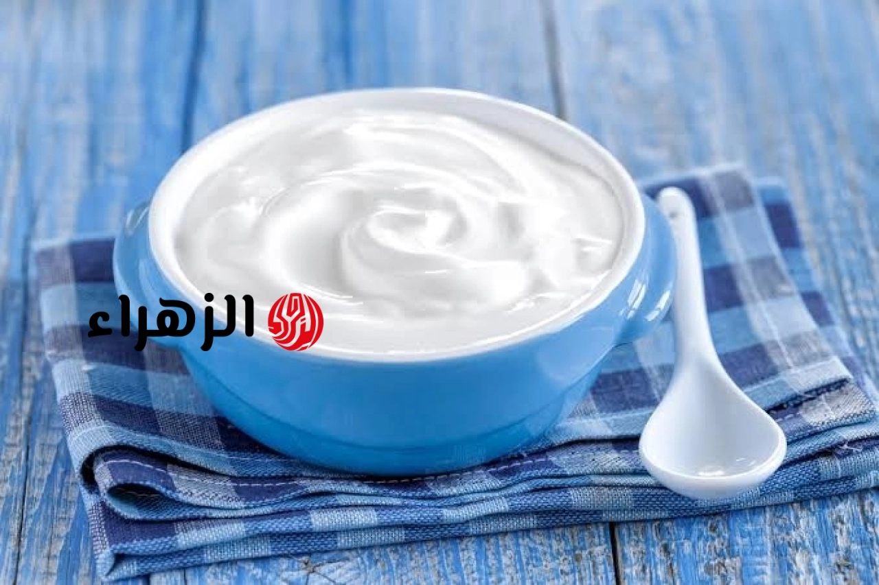 ماذا تفعل بكتيريا الزبادي النافعة في جهازك الهضمي؟ تعرف على الإجابة