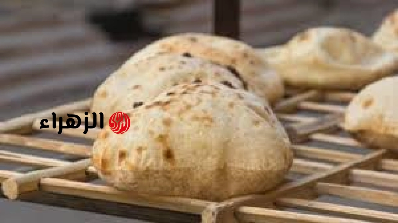 التموين تكشف تفاصيل منظومة الخبز الجديدة.. وبشرى سارة للمواطنين