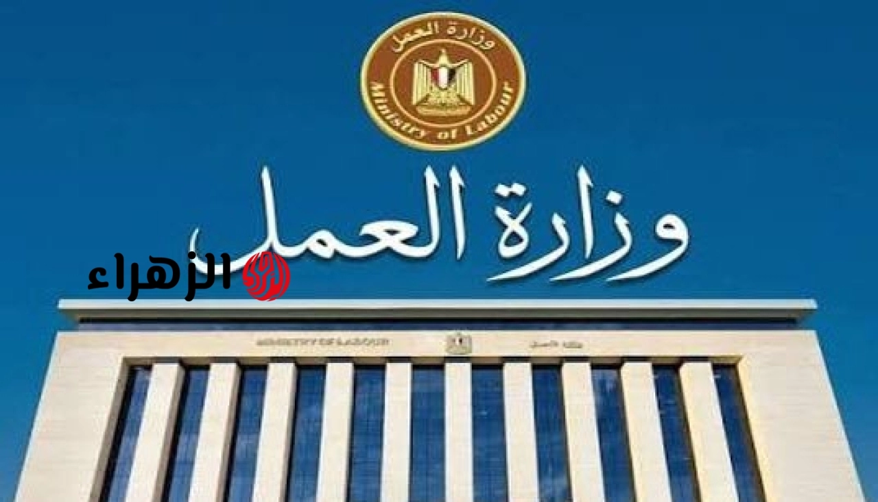 رواتب تصل إلى 15 ألف جنيه.. “العمل” تعلن عن مئات الوظائف الشاغرة بقطاع النقل البري