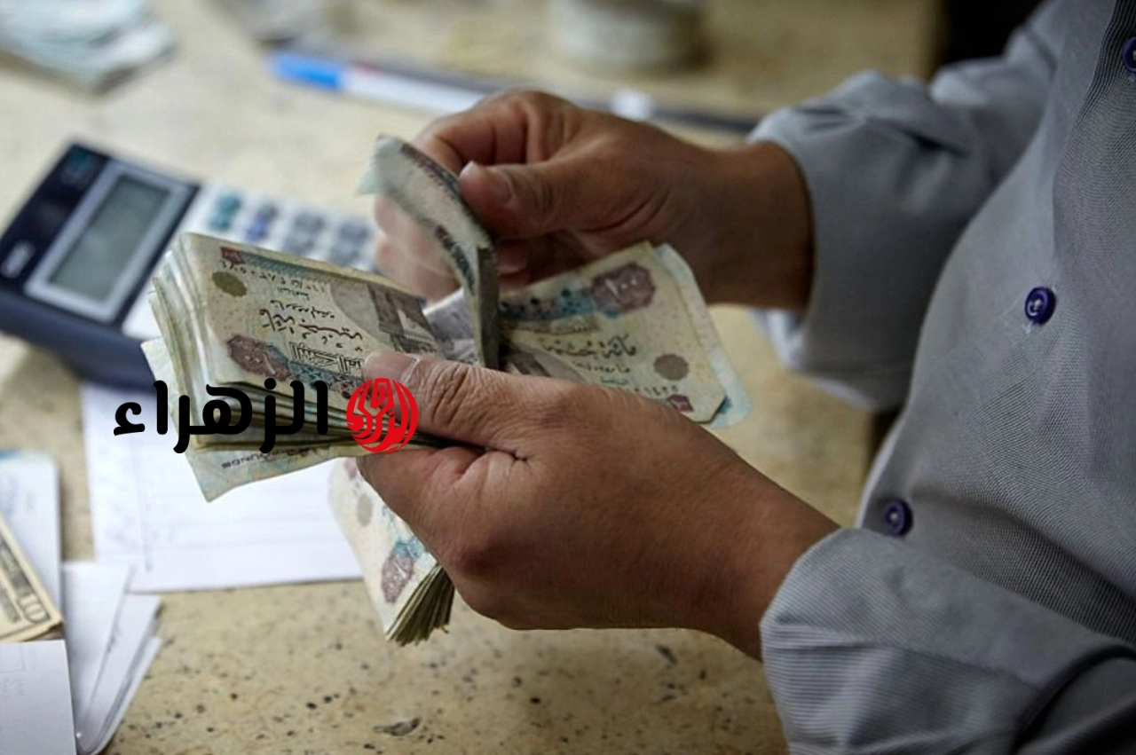 كم تبلغ زيادة المعاشات 2026؟.. التأمينات تعلن موعد تطبيقها وتكشف التفاصيل