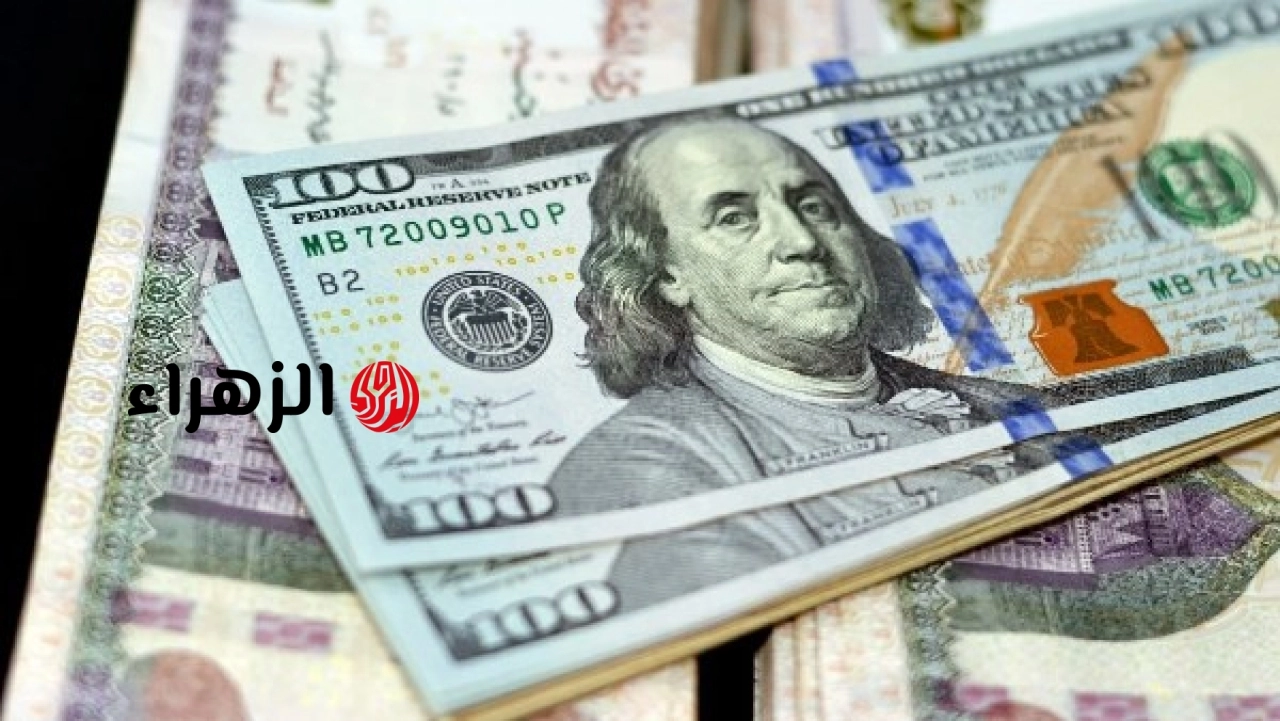 أسعار الدولار والعملات الأجنبية والعربية مقابل الجنيه المصري تشهد استقرارًا مع تغيرات طفيفة