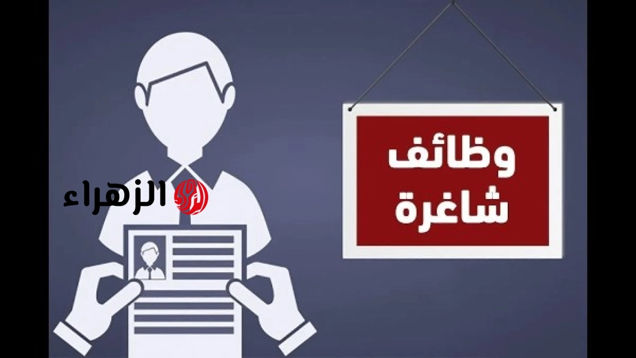 إعلان فرص عمل برواتب تصل إلى 20 ألف جنيه شهريا عبر منصات التوظيف الرسمية