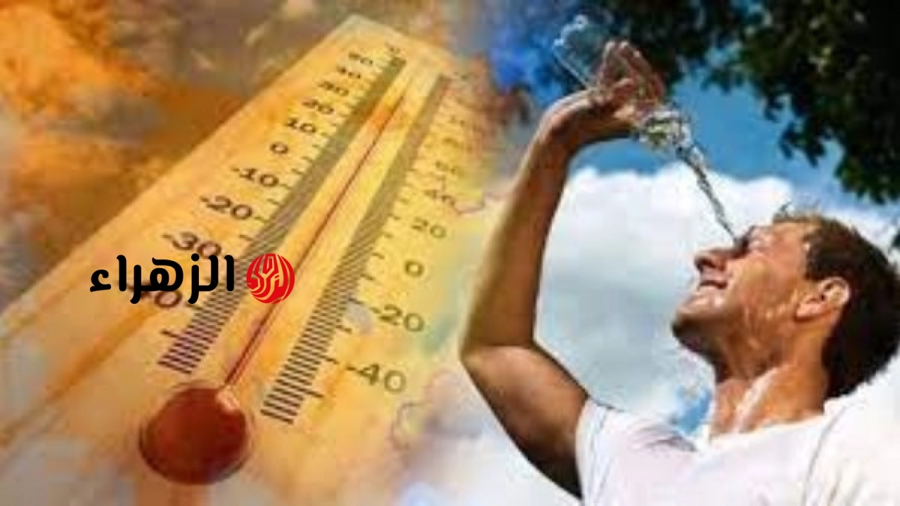 الأرصاد الجوية تعلن تفاصيل حالة الطقس المتوقعة غدًا السبت في جميع المحافظات