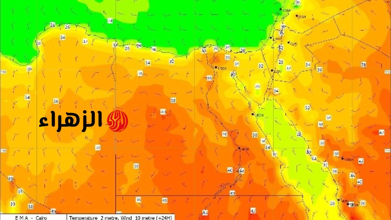 الأرصاد تعلن استمرار أمطار ورياح غدًا وتنصح المواطنين باتباع الإرشادات