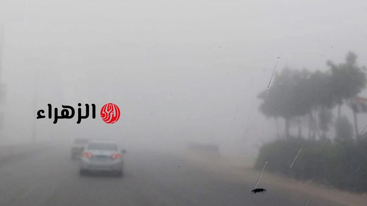 الأرصاد تعلن تفاصيل حالة الطقس المتوقعة مع شبورة ورياح مثيرة للرمال والأتربة خلال الساعات المقبلة