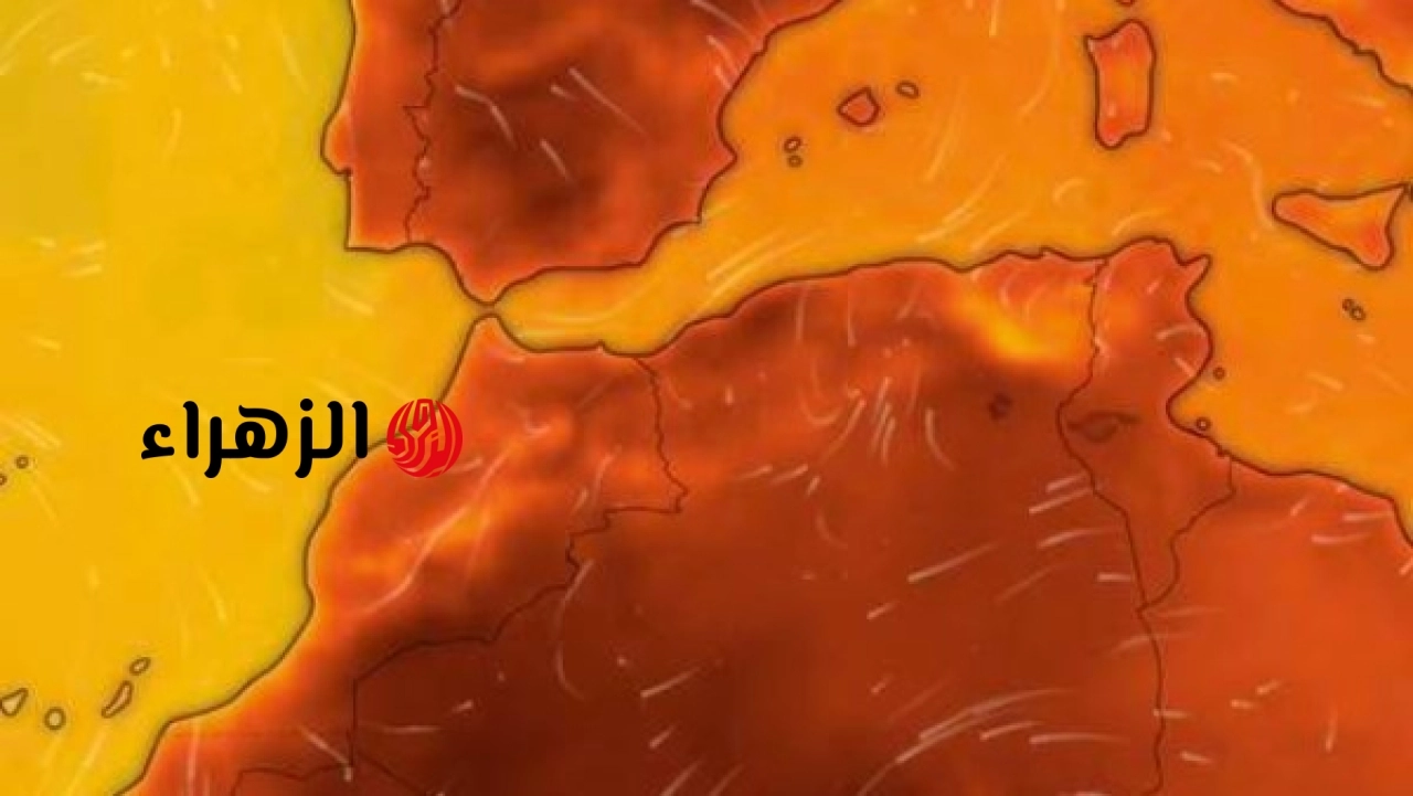 الأرصاد تعلن تفاصيل طقس الأربعاء وتوضح ظهور شبورة مائية صباحًا
