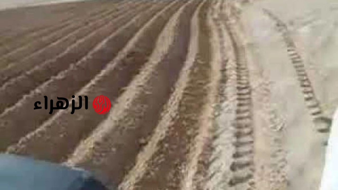 البنك الزراعي المصري يستعرض دور الأمثال الشعبية في تعزيز مفاهيم العمل بالأرض ودعم التنمية الزراعية
