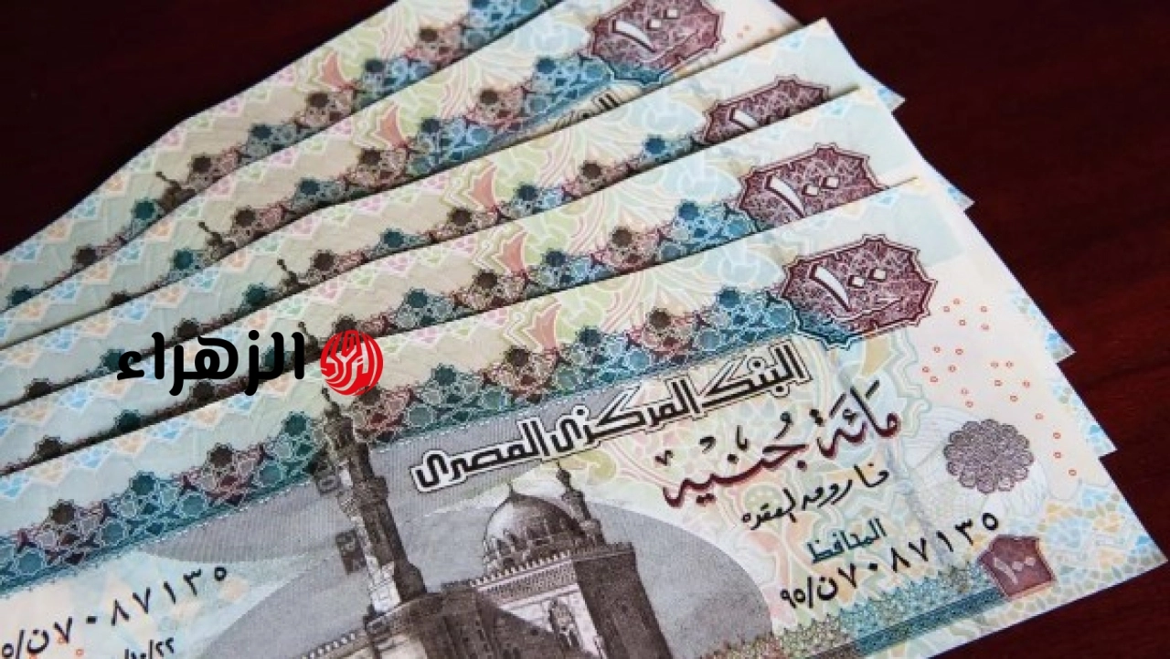 التأمينات الاجتماعية تعلن خطوات الاستعلام عن قيمة المعاش بعد الزيادة عبر الهاتف المحمول