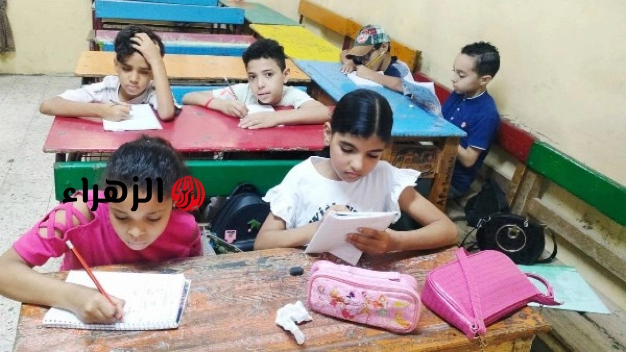 التربية والتعليم تعلن انتظام البرامج العلاجية لتلاميذ المرحلة الابتدائية في المدارس