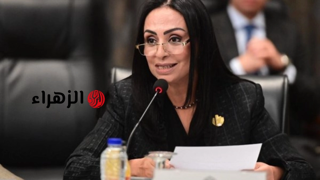 التضامن الاجتماعي توفر الرعاية الشاملة لأربعة أطفال عثر عليهم بمفردهم في شوارع حلوان