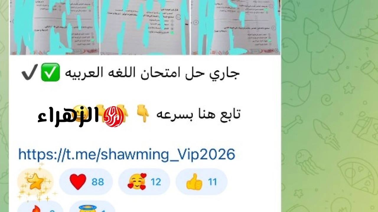 التعليم يحقق في نشر امتحان اللغة العربية للثانوية العامة بعد توزيعه
