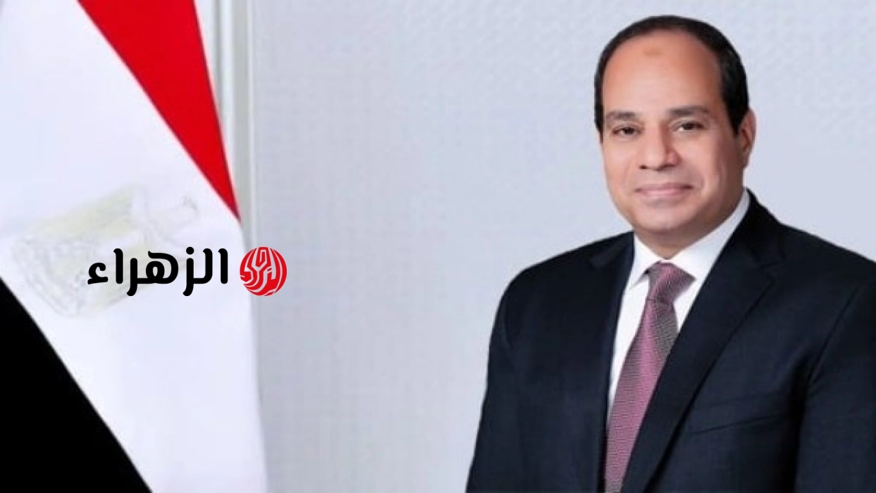 الجريدة الرسمية تعلن الحركة الدبلوماسية الجديدة لسفراء مصر بالخارج