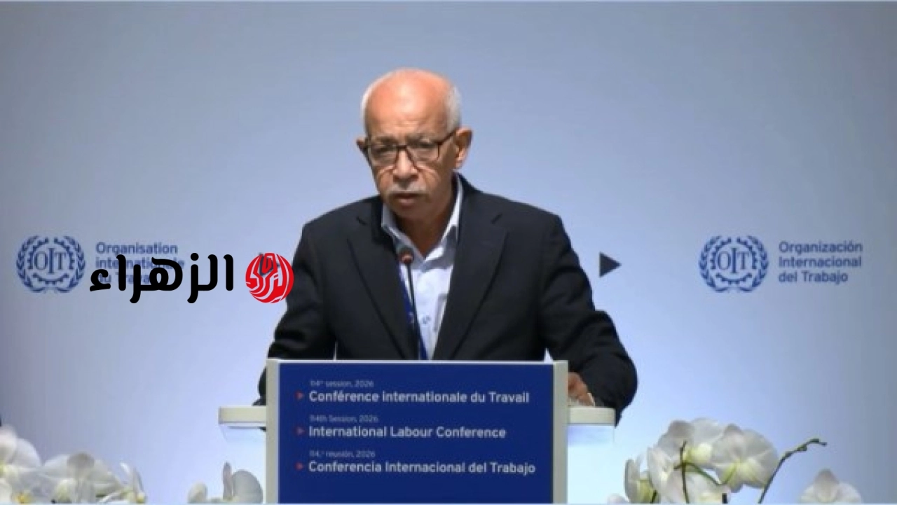 الحكومة المصرية تؤكد من جنيف أهمية العامل في التنمية وتشدد على دور الحماية الاجتماعية في مواجهة التحديات