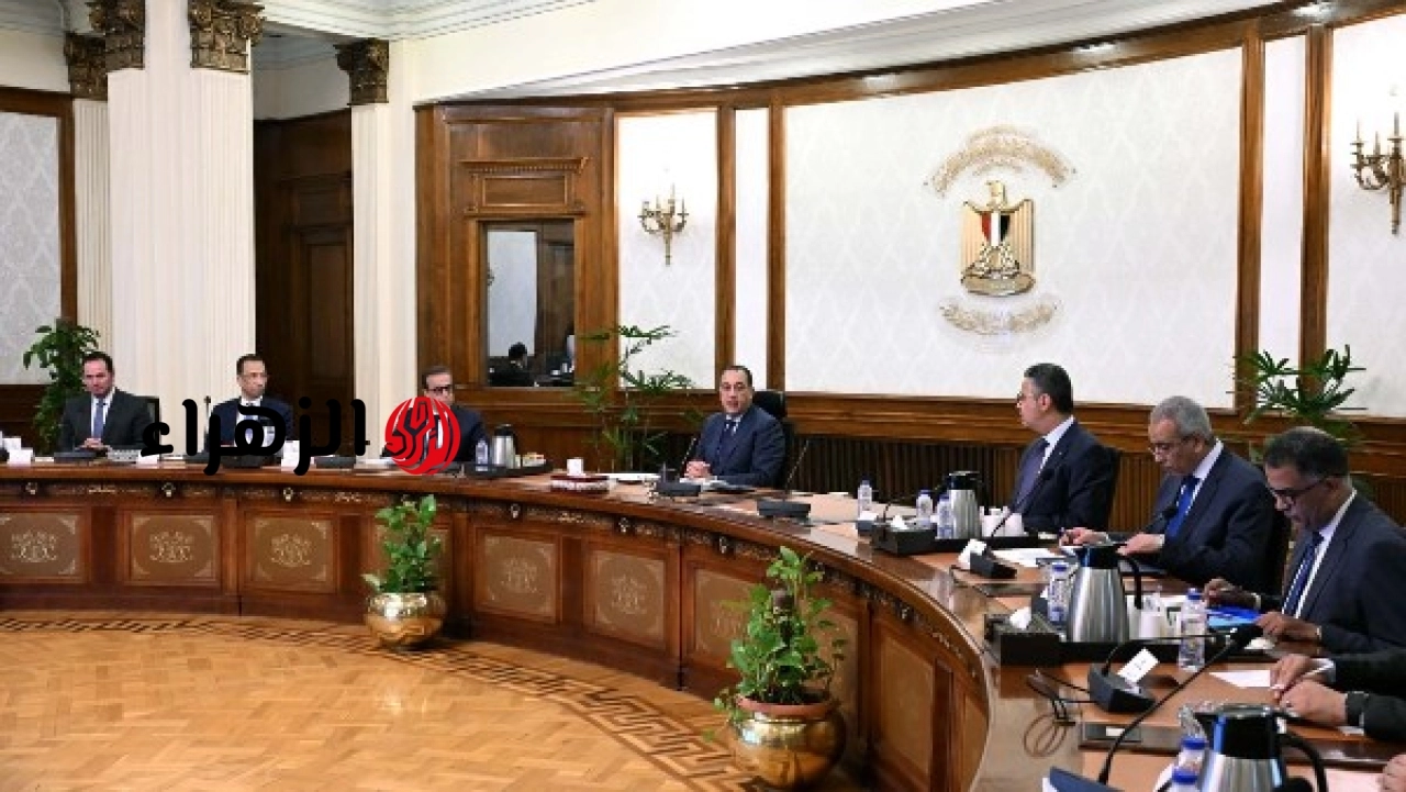 الحكومة المصرية تبدأ حصر وميكنة جميع الخدمات المدعومة المقدمة للمواطنين