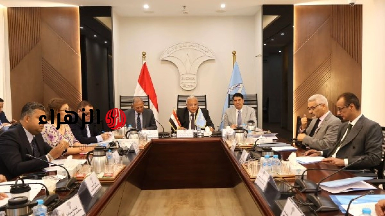 الحكومة المصرية تعلن إنشاء لجنة وطنية لحقوق الإنسان في الفضاء الرقمي