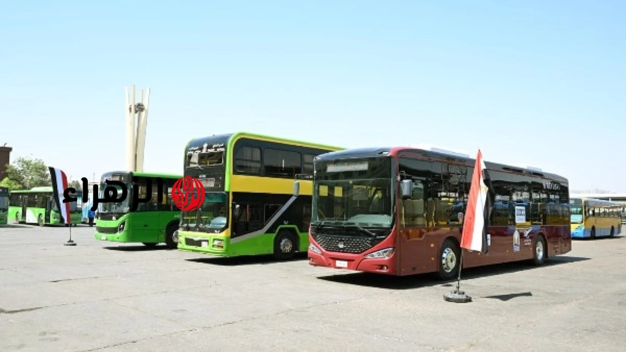 الحكومة المصرية تعلن تطوير منظومة النقل العام الجماعي لتحسين جودة الخدمة المقدمة للمواطنين