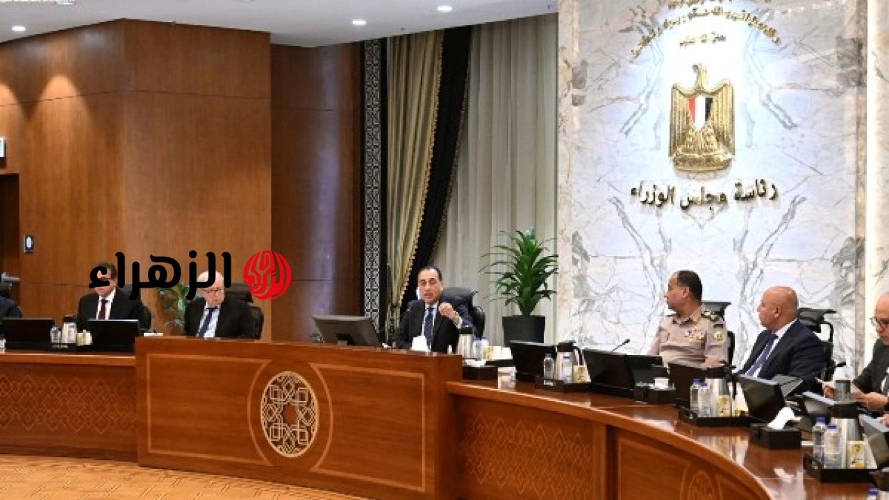 الحكومة المصرية تعلن تنظيم العمل عن بُعد أسبوعيًا لبعض الجهات وتحدد آليات التنفيذ