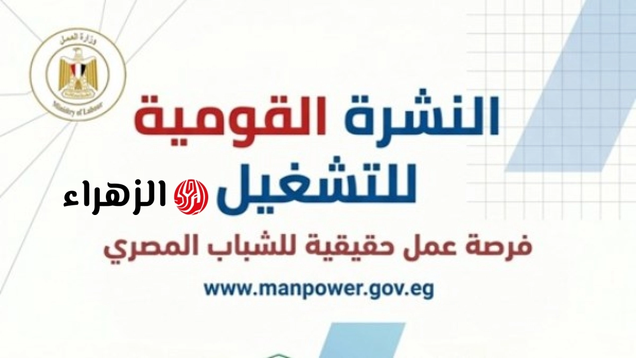الحكومة المصرية تعلن توفير 1590 فرصة عمل للشباب في 11 محافظة والتقديم مستمر خلال يونيو
