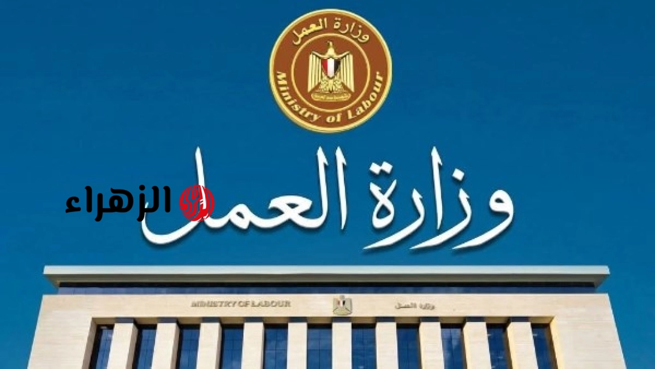 الحكومة المصرية تعلن توفير 450 فرصة عمل جديدة بقطاع الأمن برواتب تصل إلى 9500 جنيه