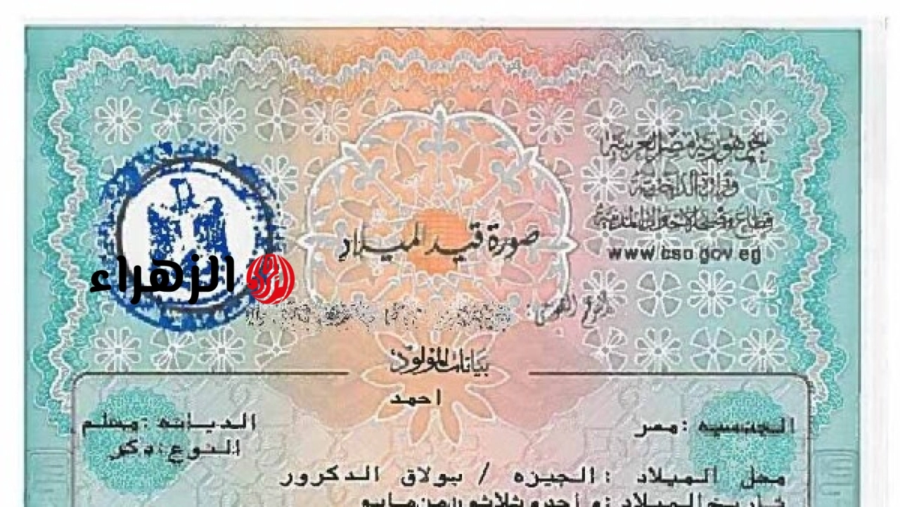 الحكومة المصرية تعلن خطوات استخراج شهادة ميلاد إلكترونيا عبر الإنترنت في أقل من عشر دقائق