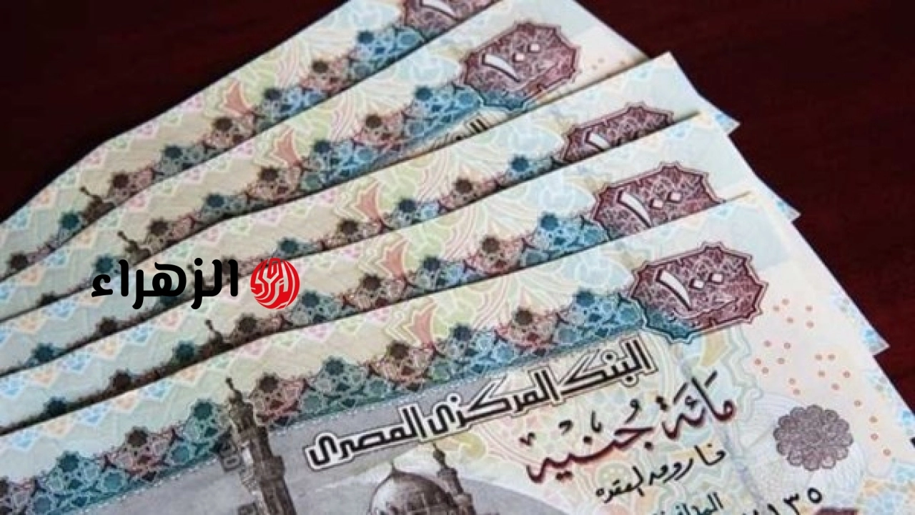 الحكومة المصرية تعلن زيادة المعاشات بنسبة 15 بالمئة لصالح 11 مليون مستفيد