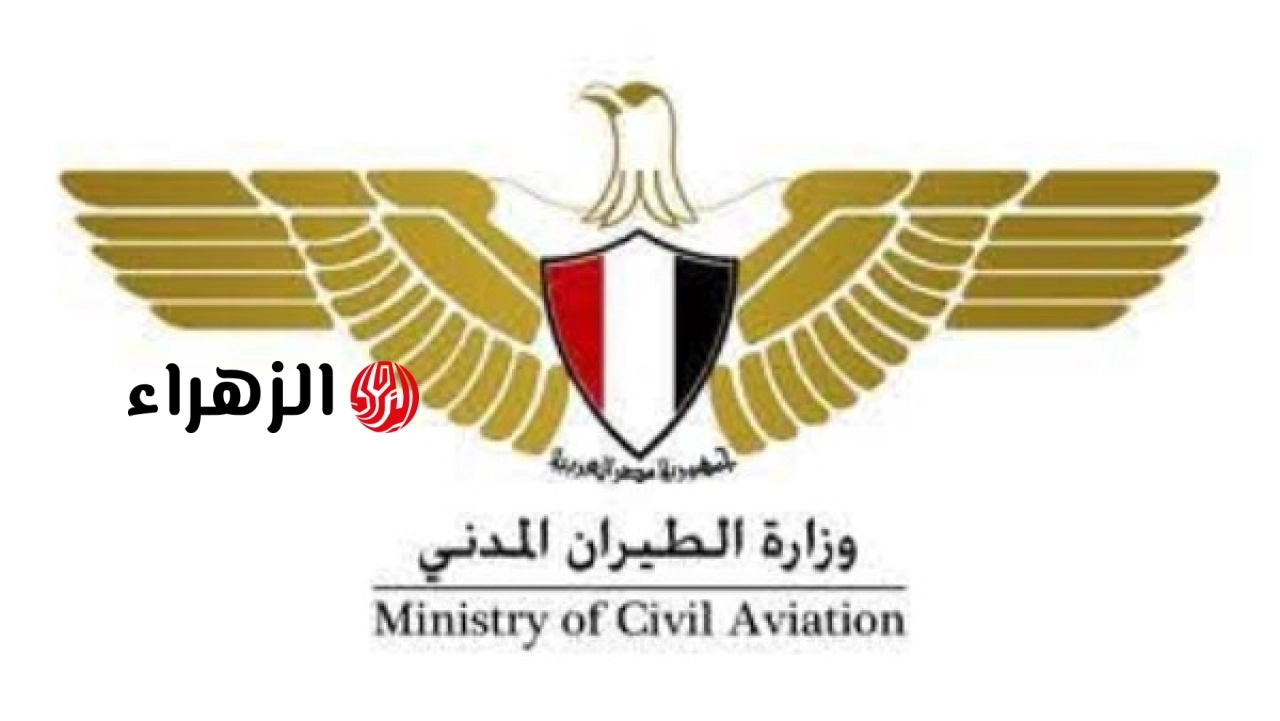 الحكومة المصرية تعلن فتح تحقيق في وفاة طيار ومتدربة بالأكاديمية المصرية للطيران