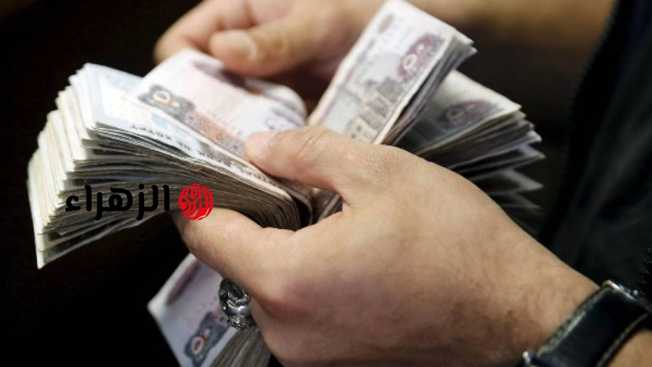 الحكومة المصرية تعلن موعد تطبيق الدعم النقدي وتوضح مصير بطاقات التموين