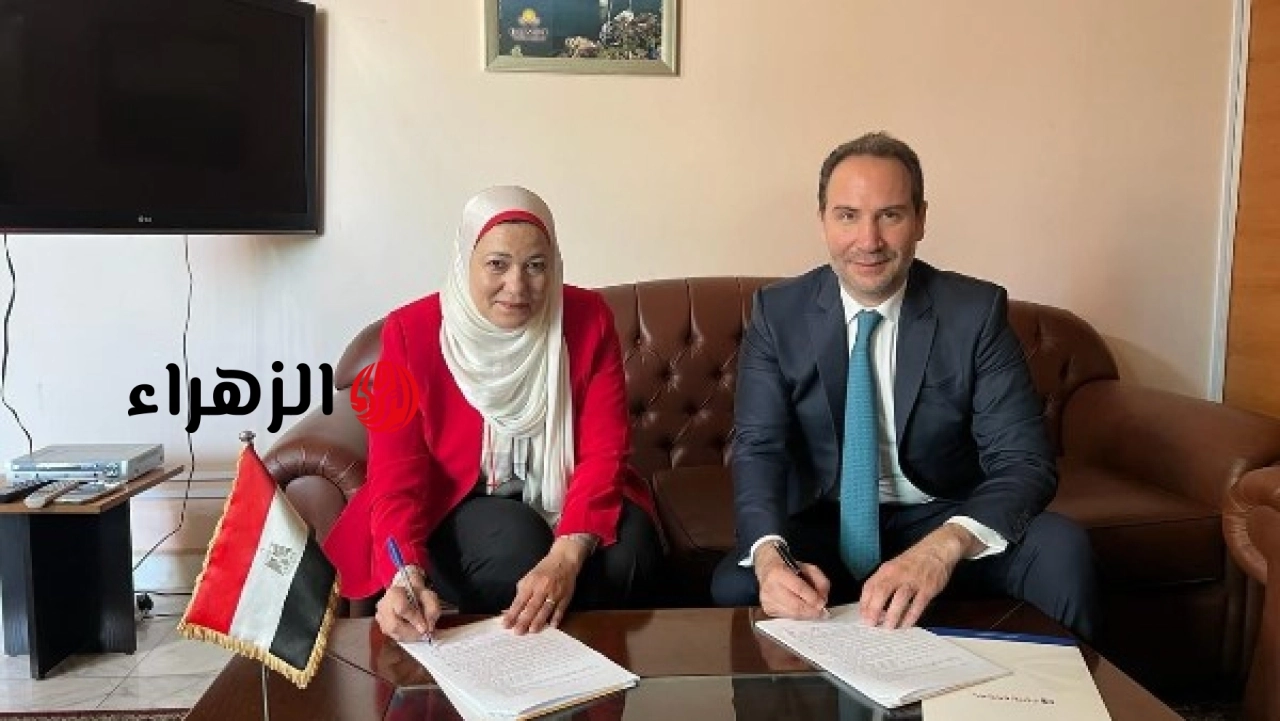 الحكومة المصرية تعلن وثيقة تأمين طبية واجتماعية جديدة للمصريين العاملين في لبنان