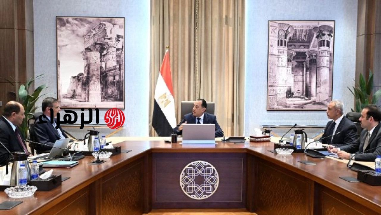 الحكومة تبحث التوسع في إنشاء محطات جديدة للثروة الحيوانية وتشدد على زيادة الإنتاج ودعم الاكتفاء الذاتي