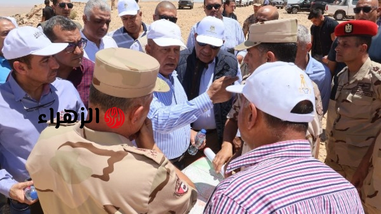 الحكومة تبدأ تنفيذ مشروعات لتوليد الكهرباء من طاقة الرياح في السويس وسيناء