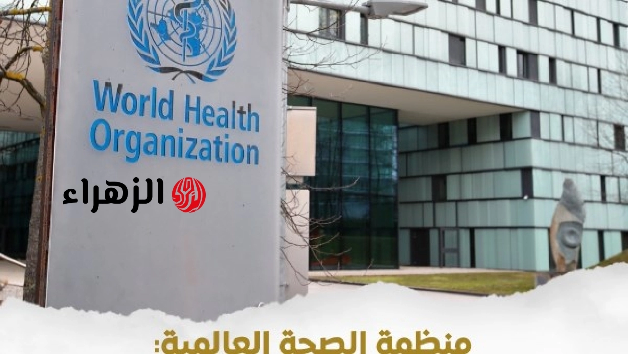 الحكومة ترصد إشادة منظمة الصحة العالمية بجاهزية منظومة الترصد الوبائي في مصر