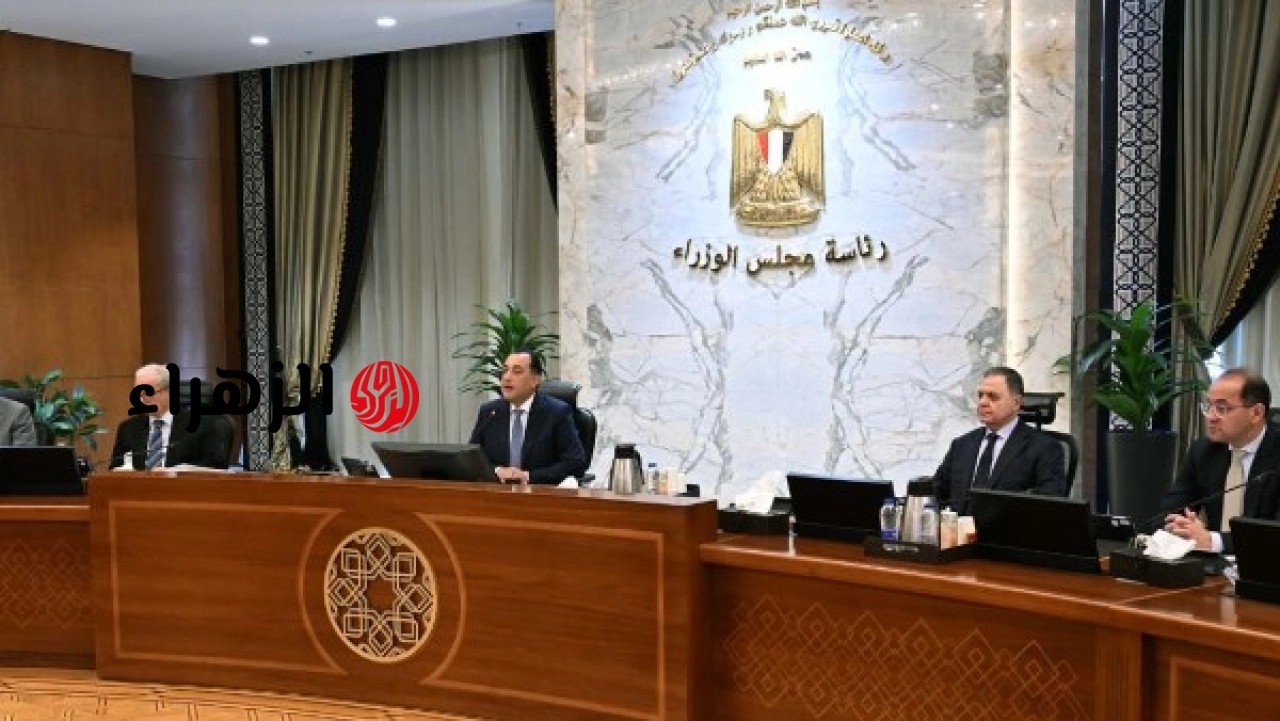 الحكومة تعلن تعديل القواعد التنظيمية الخاصة بترخيص أراضي مشروعات الطاقة الكهربائية