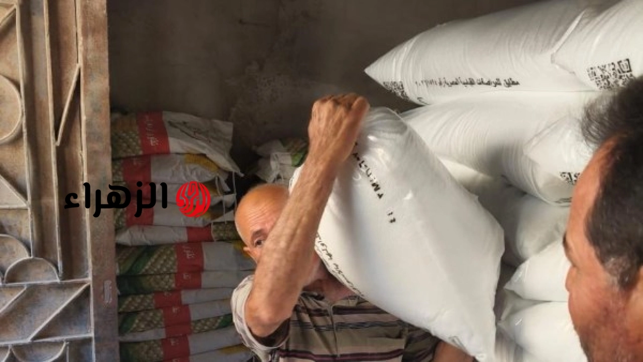 الحكومة تعلن تنفيذ مشروعات كارت الفلاح والتسمين لتطوير منظومة الإصلاح الزراعي في محافظة البحيرة