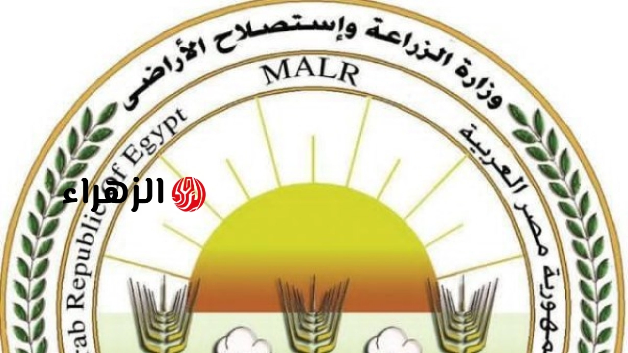 الحكومة تعلن توافر الأسمدة في كفر الشيخ والمنوفية وتنفي وجود أزمة في التوزيع