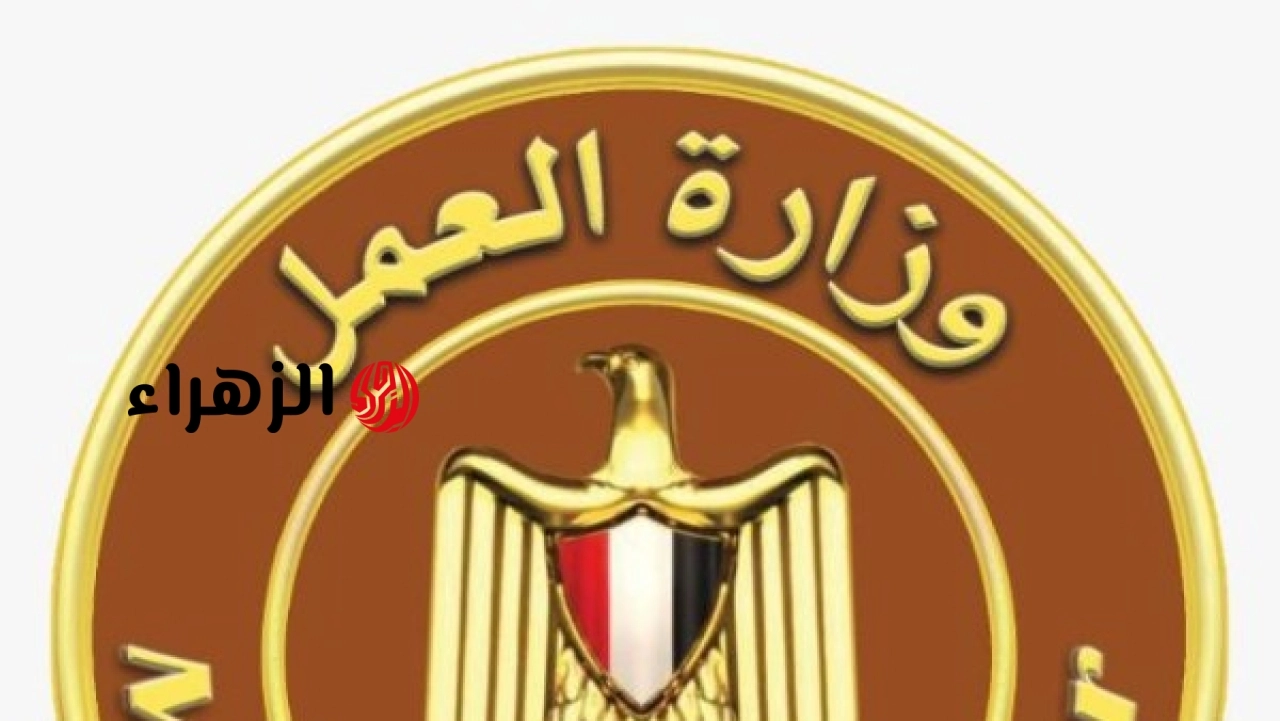 الحكومة تعلن توفير 350 فرصة عمل للعمالة الزراعية بالخارج براتب 409 دولارات وتكشف عن رابط التقديم