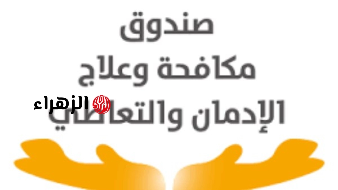 الحكومة تعلن علاج نحو 70 ألف مريض إدمان مجانا وفي سرية خلال 5 أشهر