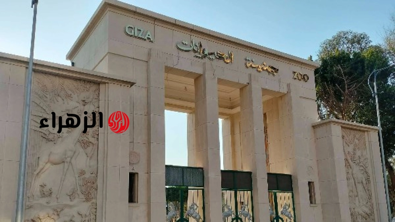 الحكومة تعلن موعد افتتاح حديقة الحيوان بالجيزة رسميا وتحدد تفاصيل استقبال الزوار
