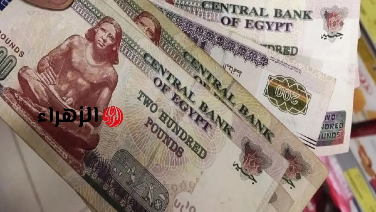 الحكومة تعلن موعد صرف معاشات يوليو 2026 بالزيادة الجديدة