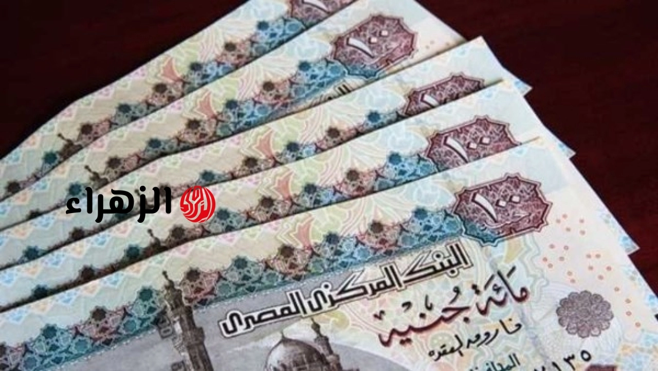 الحكومة تعلن موعد صرف معاشات يوليو 2026