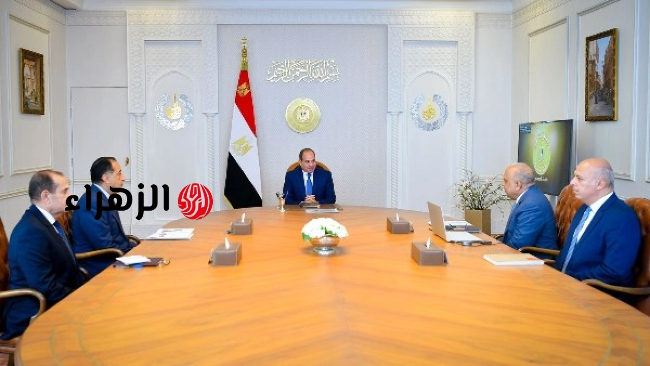 الرئيس السيسي يتابع تطورات تنفيذ المرحلة الثانية من مشروعات تدعيم الشبكة القومية للكهرباء