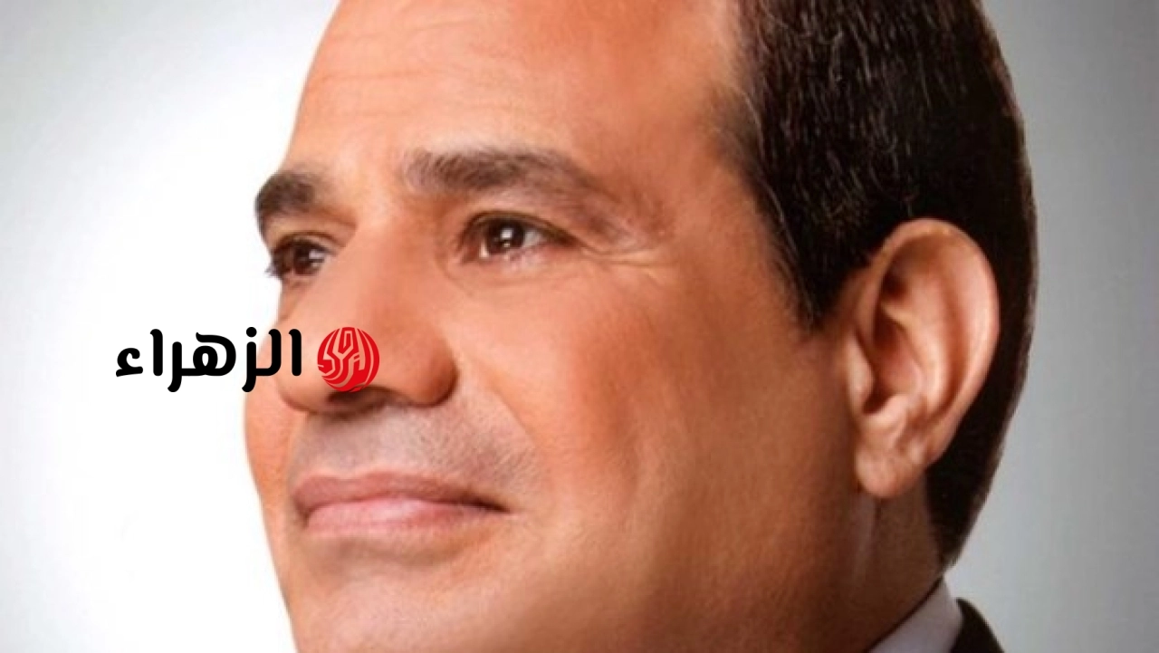 الرئيس السيسي يهنئ ملك الدنمارك ورئيسة الوزراء بمناسبة ذكرى يوم الدستور