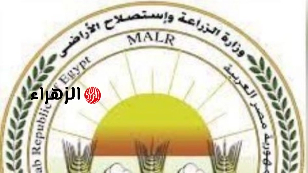 الزراعة تعلن صرف مليون شكارة أسمدة صيفية بأسعار ثابتة وتدشن غرف عمليات لتسهيل التوزيع