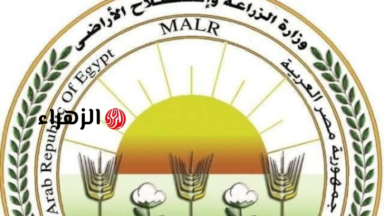 الزراعة توضح تفاصيل مقاطع فيديو الأسمدة المتداولة وتعلن نتائج التحقيقات الرسمية