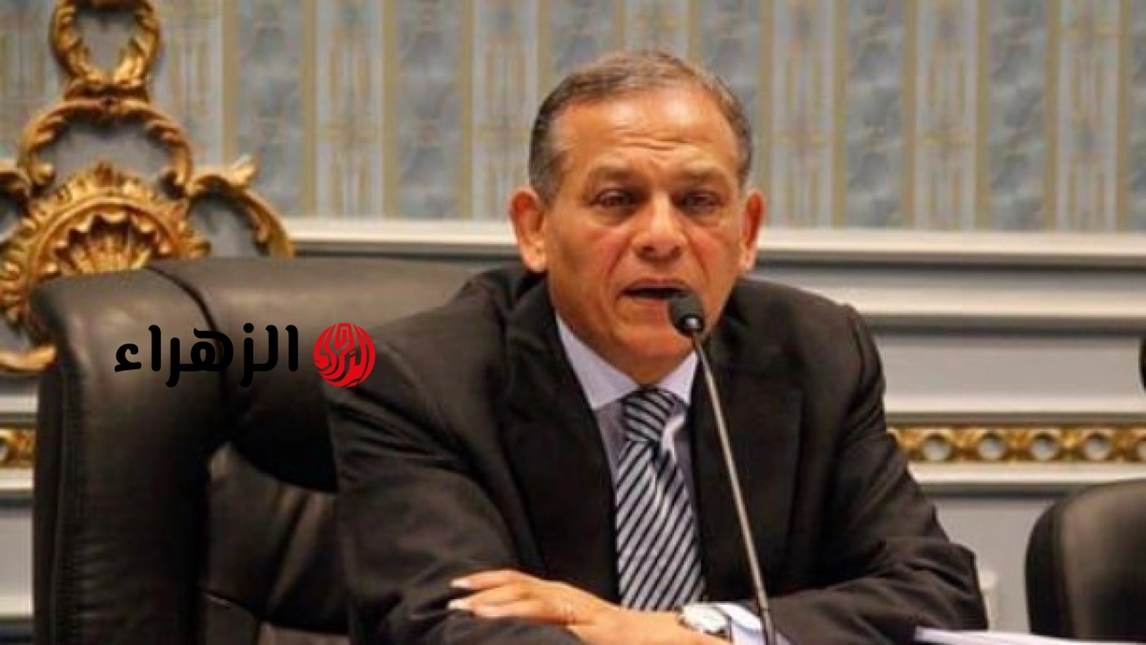السادات يؤكد أهمية الحوار بين الحضارات في حماية حقوق الإنسان وتعزيز السلام العالمي