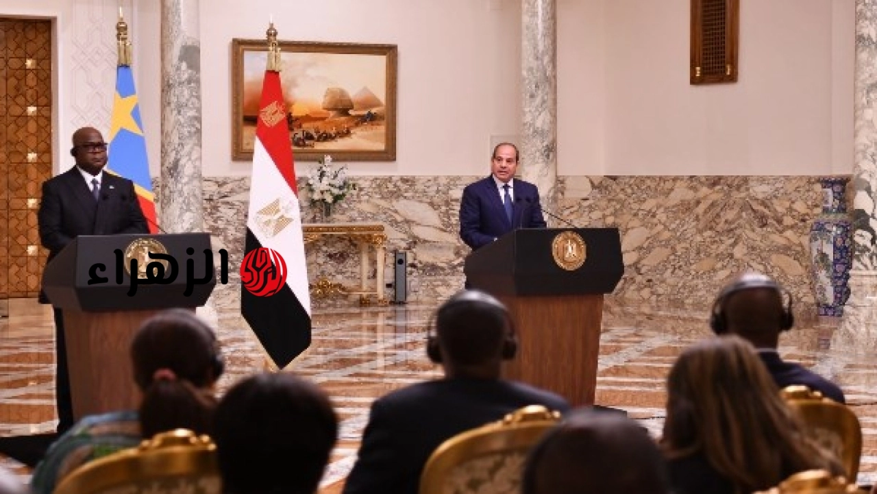 السيسي يؤكد من القاهرة رفض مصر الإجراءات الأحادية في ملف النيل