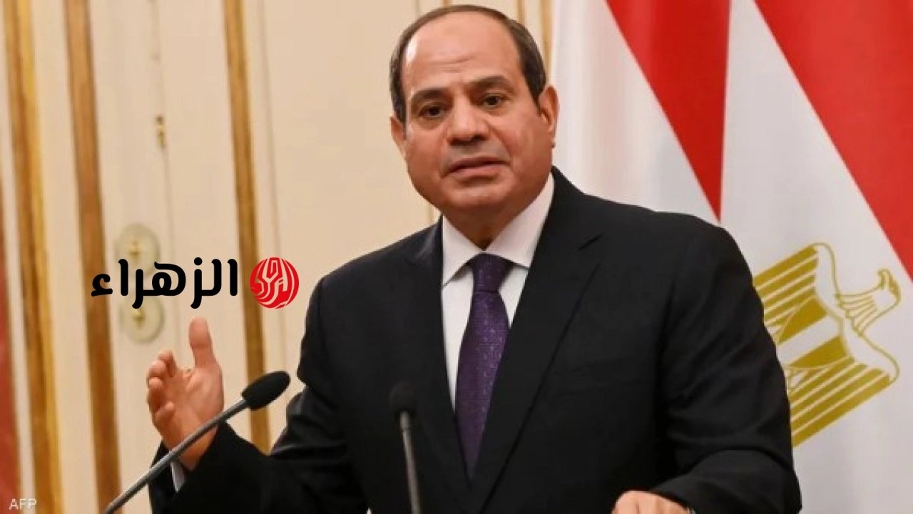 السيسي يبحث التعاون بين مصر والمفوضية السامية للأمم المتحدة لشؤون اللاجئين