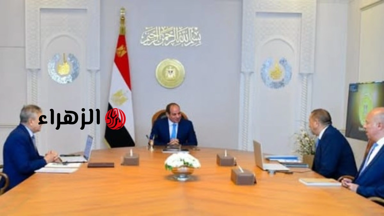 السيسي يتابع تطورات تجهيز مصنعي الفايبر جلاس في شركة قناة السويس للقوارب